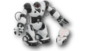 Spielzeug-Roboter
